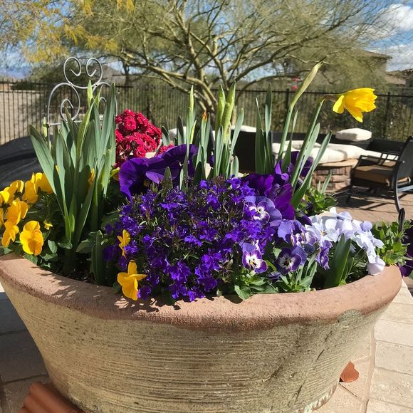 Meet your Posher, Leah - Picture 1 of 1